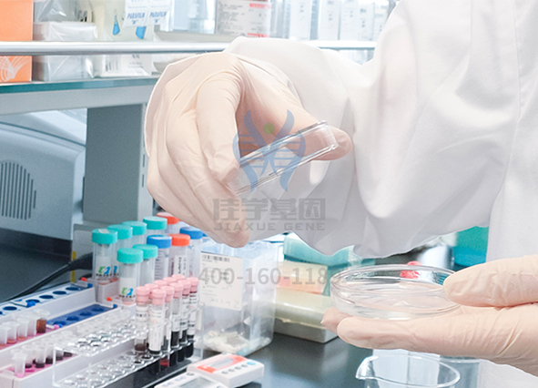 【佳学基因案例】苯丙酮尿症基因检测、基因解码